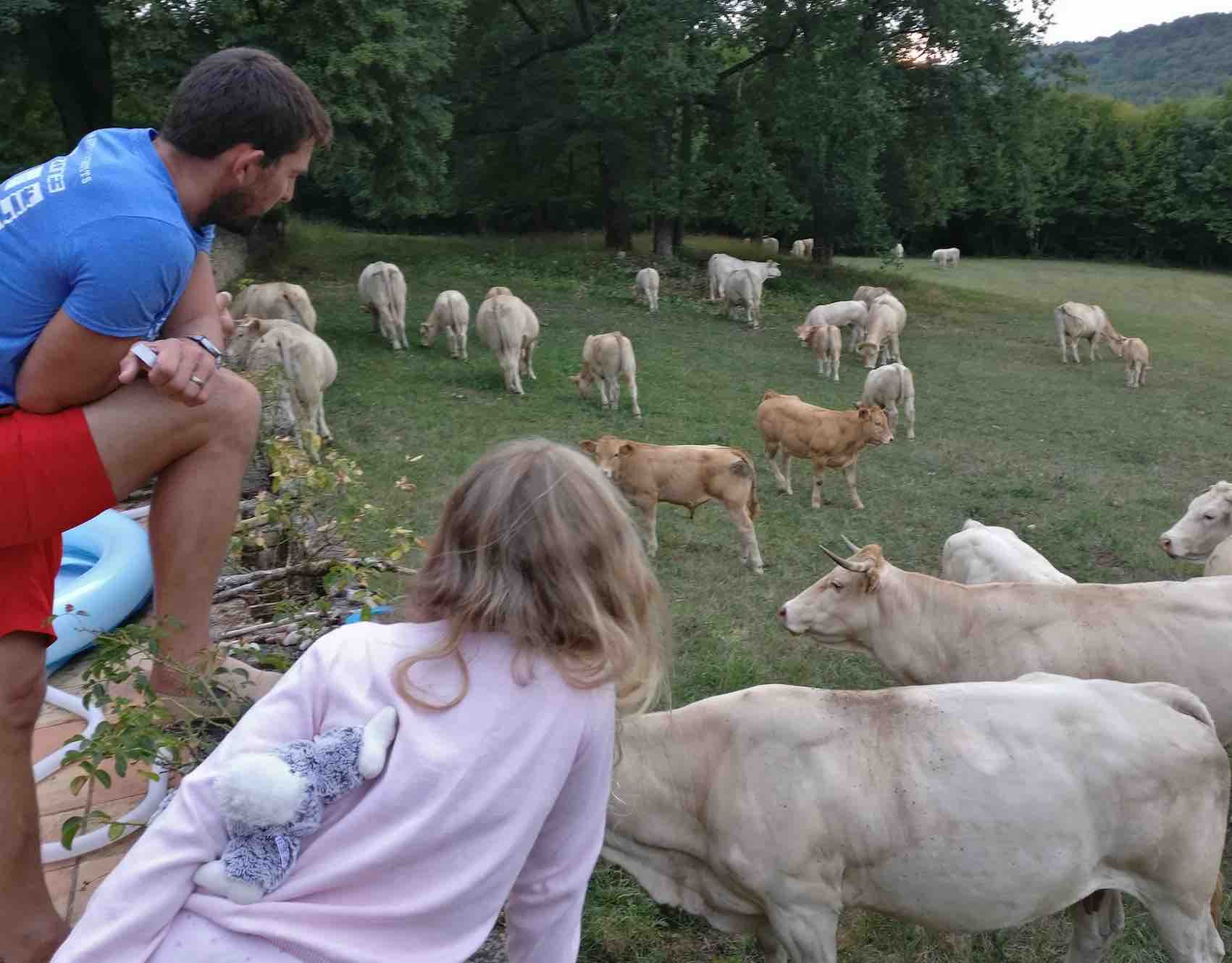 famille_anglaise_dordogne_2