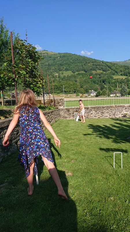 Cricket-in-the-garden.jpg