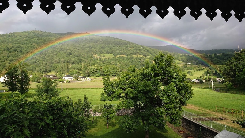 Garden-view.jpg