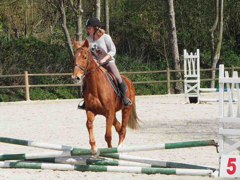 equitation_et_anglais_1.jpg