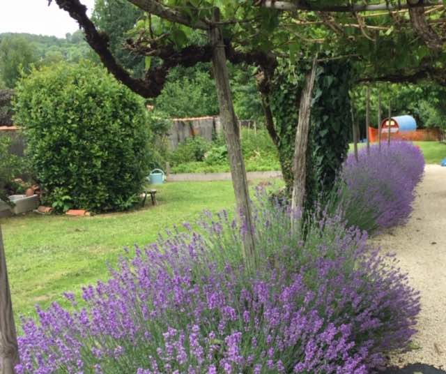 garden_5.jpg