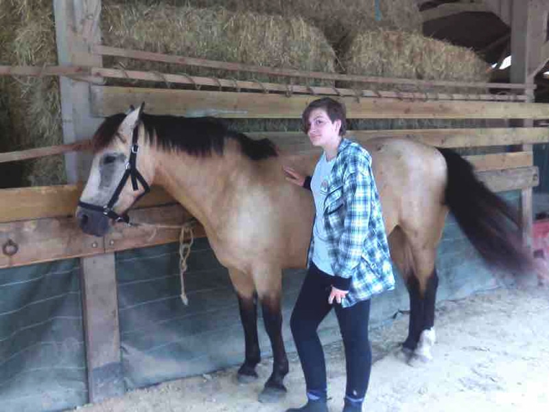 stage-equitation-Normandie.jpg