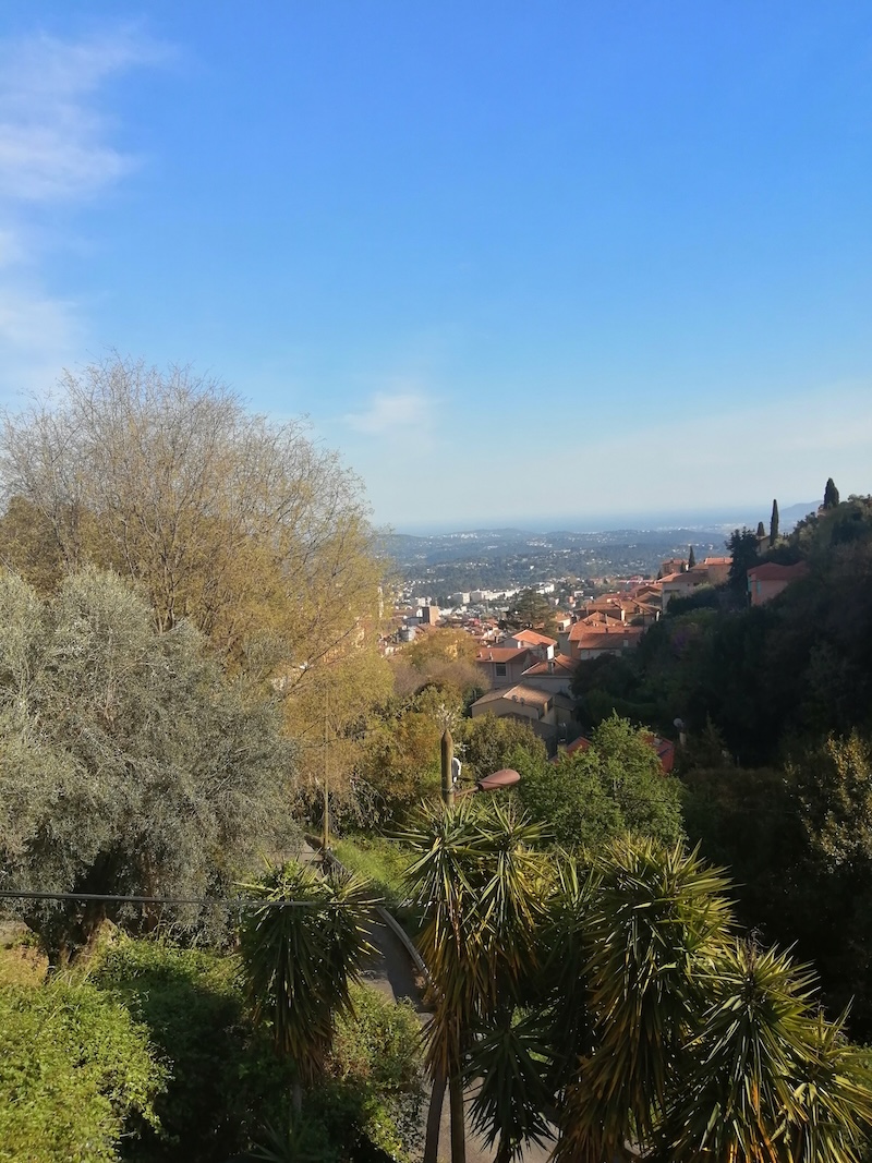 Landscape