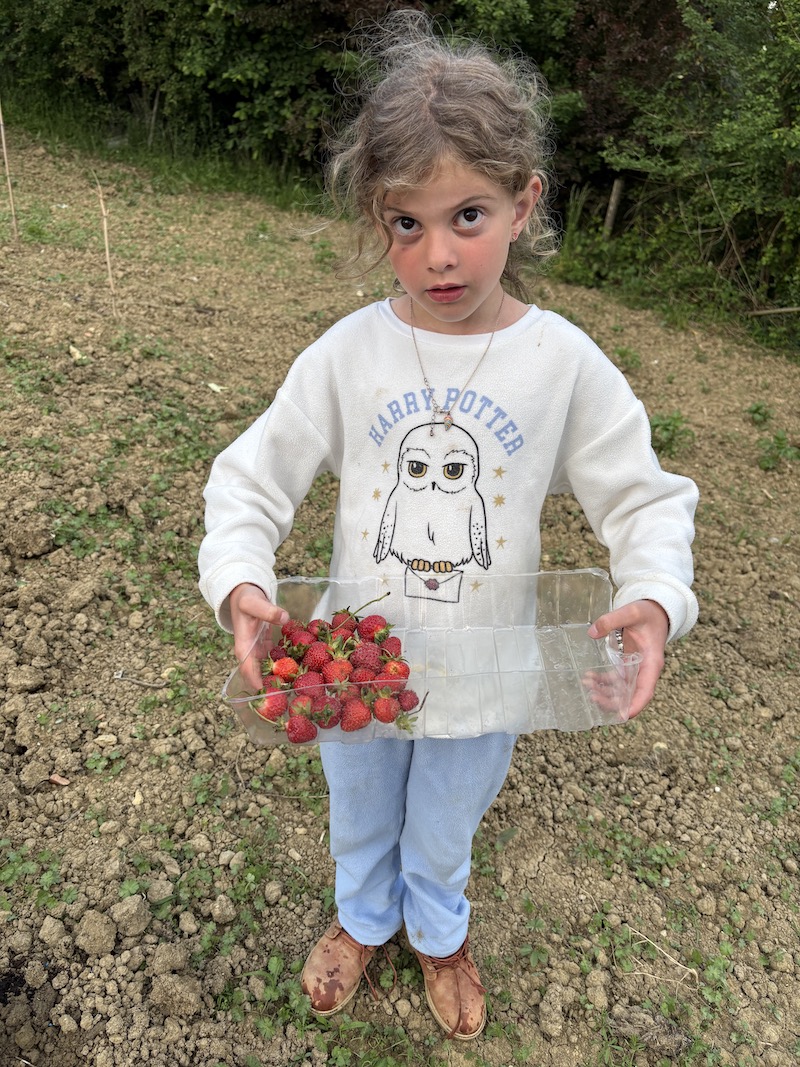 image00012