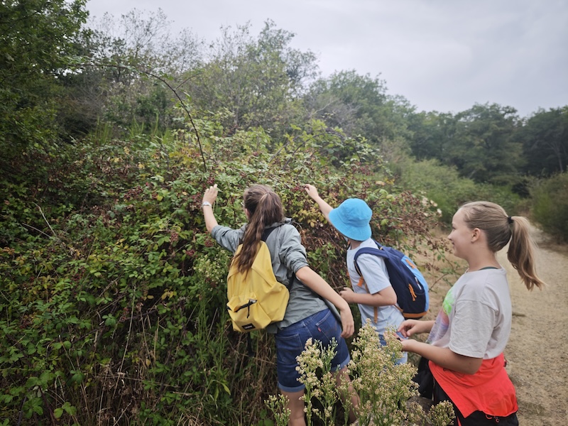 MVIMG_20250826_143018