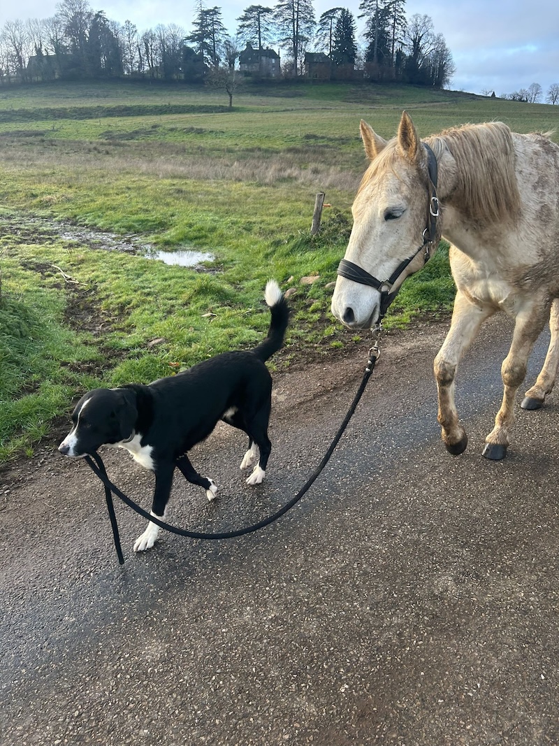 2482b12a-0d48-448d-a9d5-2e6ccc570924