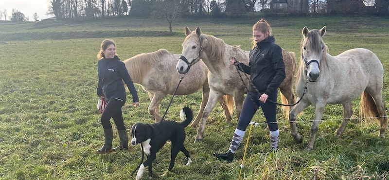 437c9cc8-7243-4955-a101-4dd5036423bc