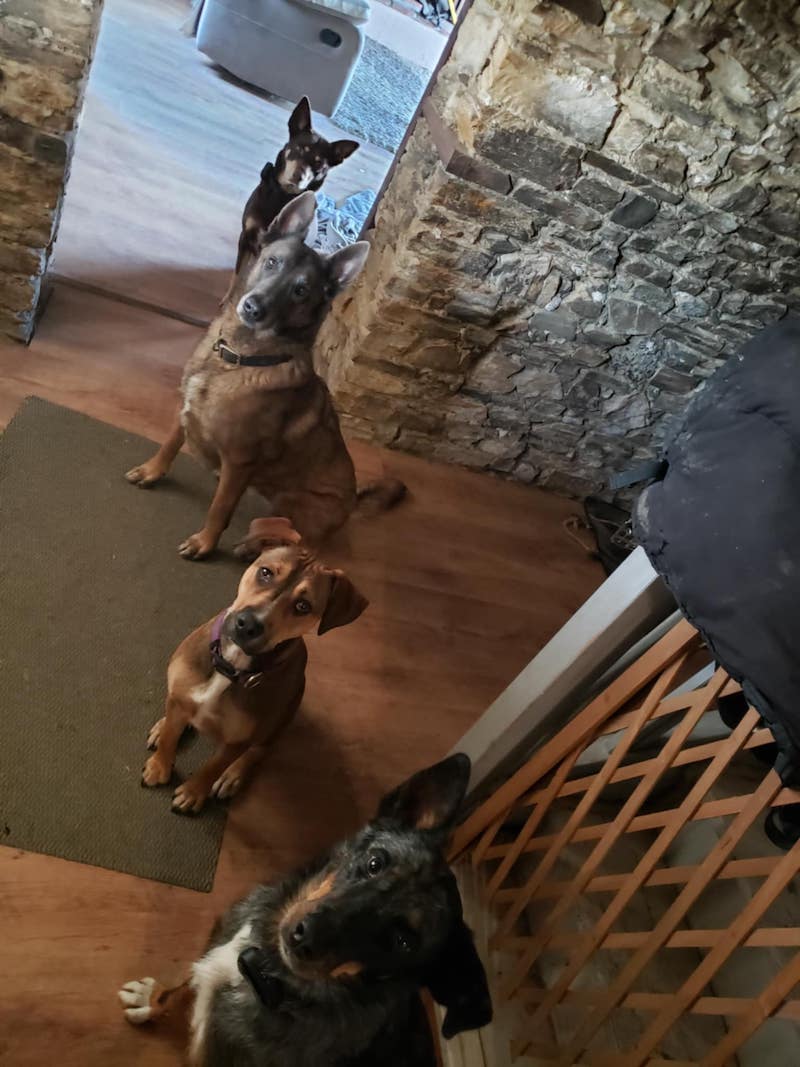 Messenger_creation_0BA072B4-25CE-4050-AB4F-077C423E5305