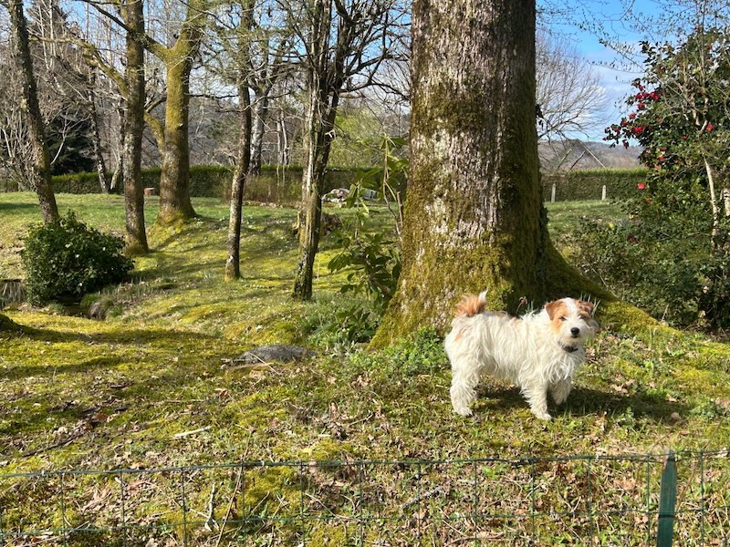 09b40230-f80e-4283-8ce0-bdedb66802ae