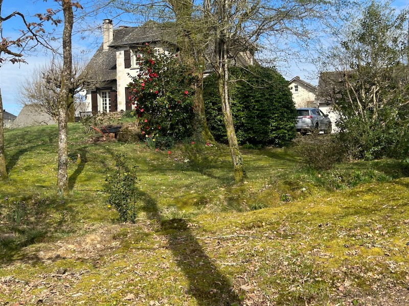 3ff3b551-1df3-4ad1-b925-9b67554914dd