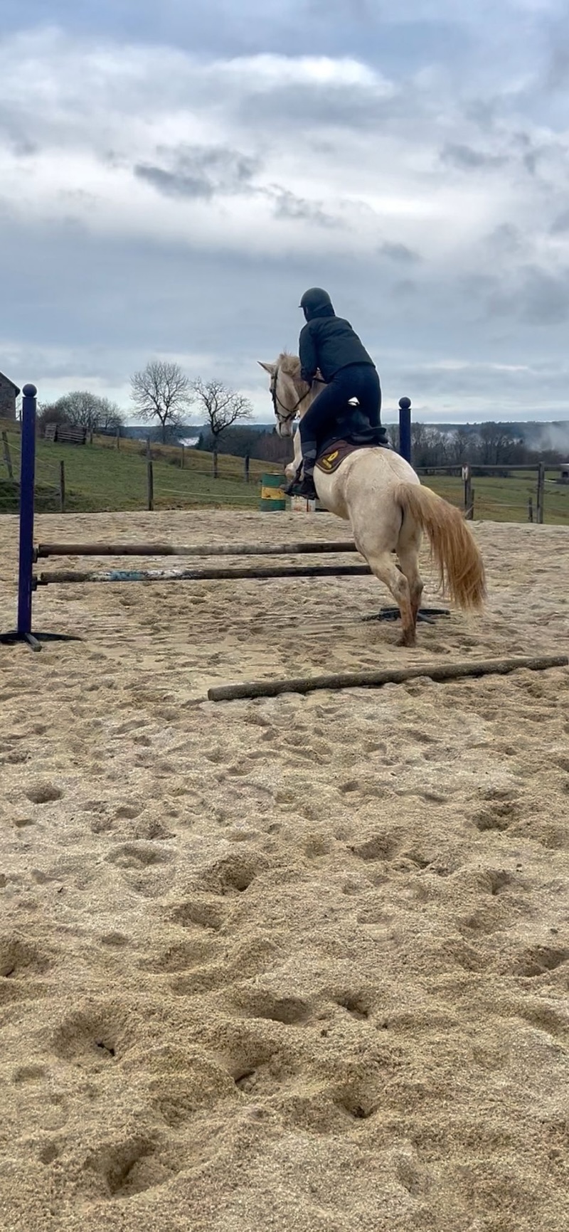 76e2ec0c-4903-4a6e-a268-2debc08079f7