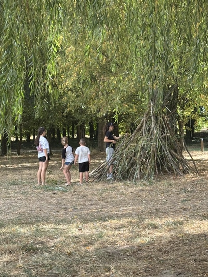 image4