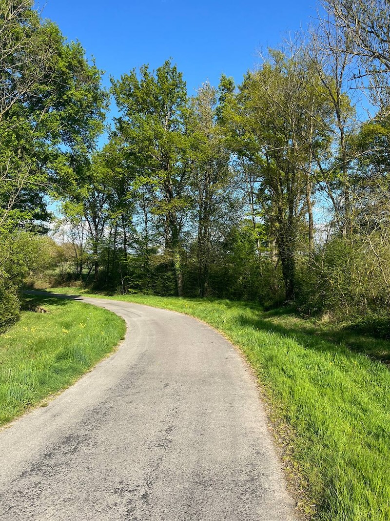 walk