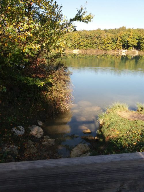 PHOTO-2021-10-17-10-58-02.jpg
